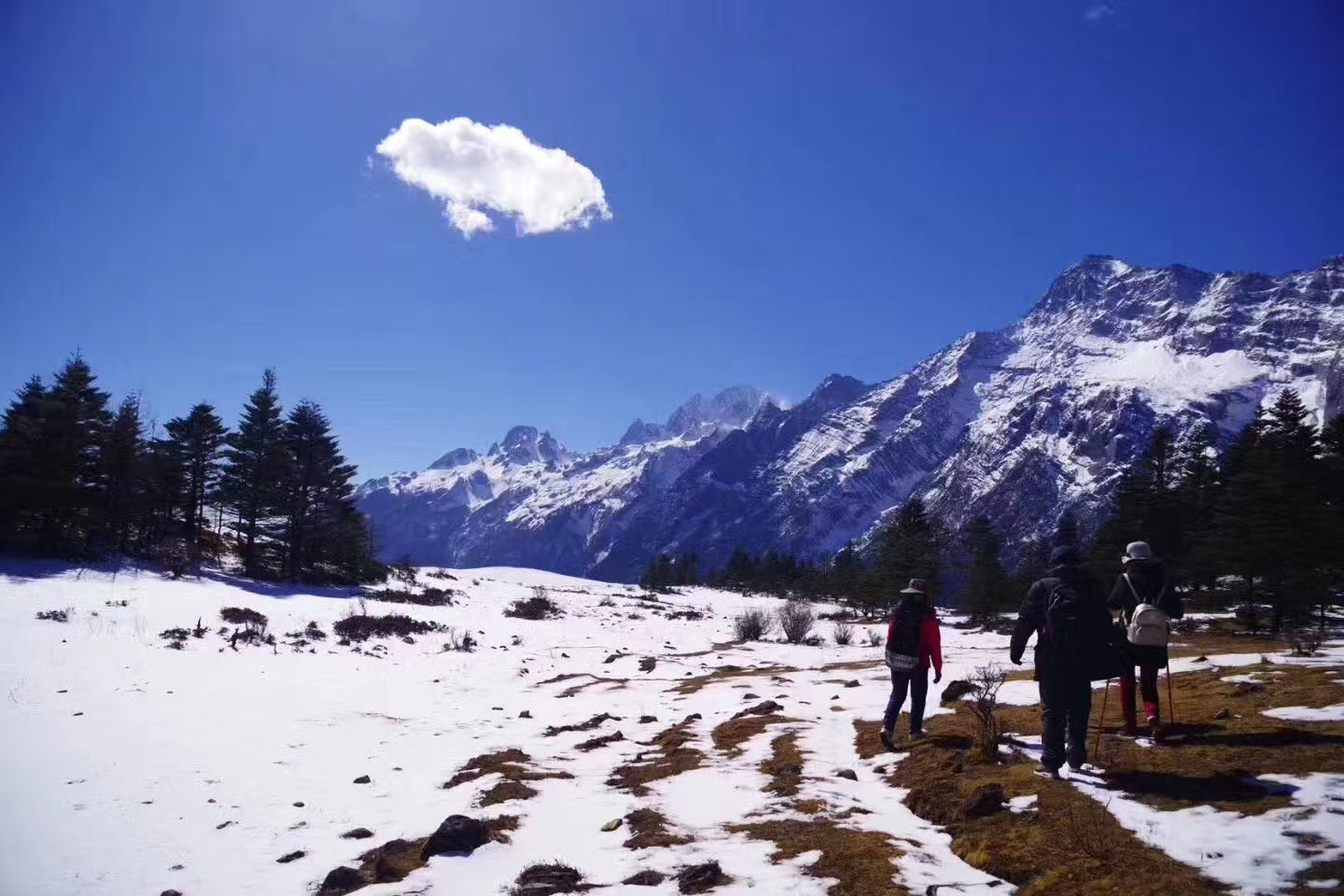 Lijiang: Jade Dragon Snow Mountain Yak Ping Hike
